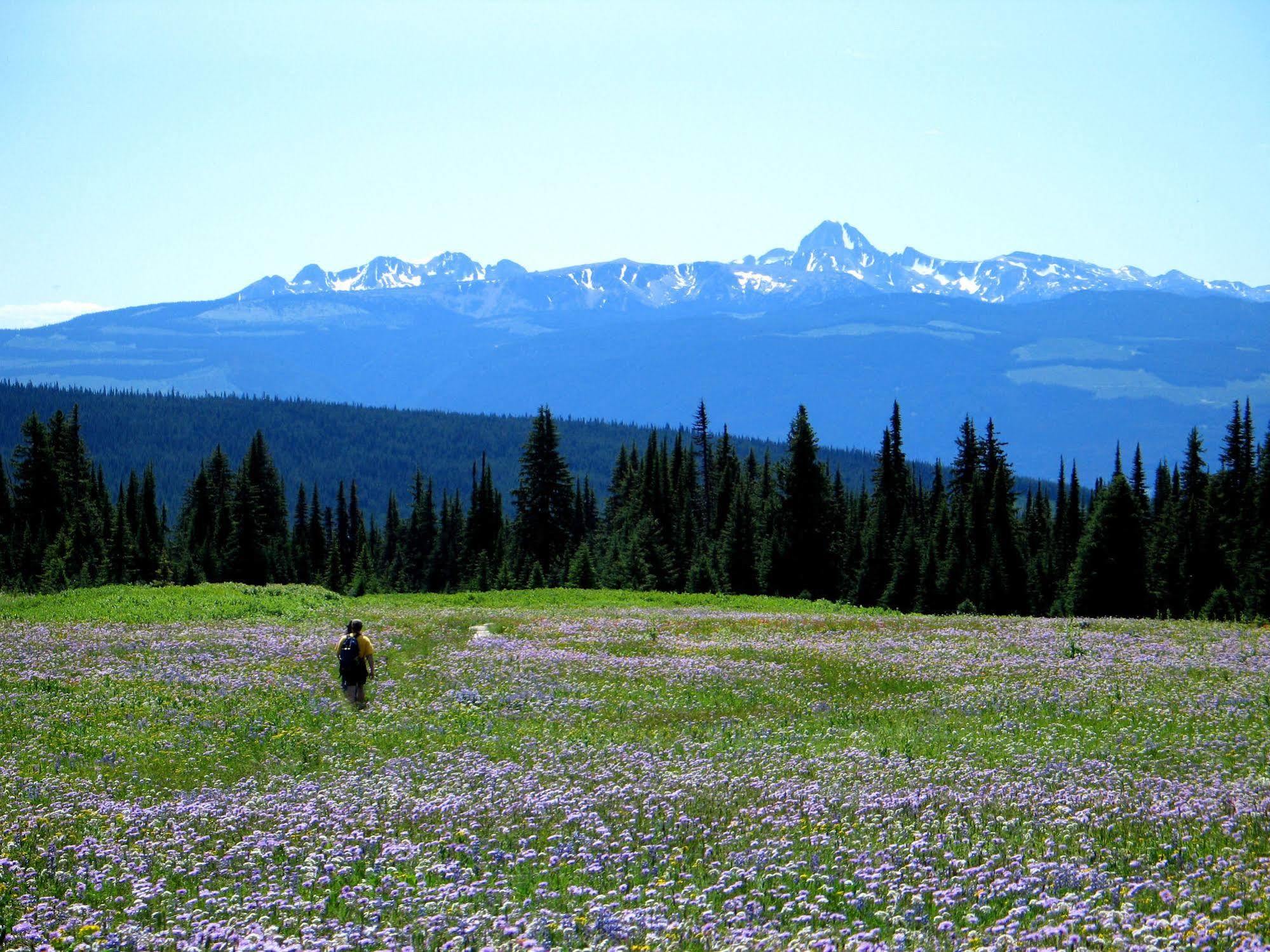 Wells Gray Guest Ranch Hotel Clearwater Ngoại thất bức ảnh