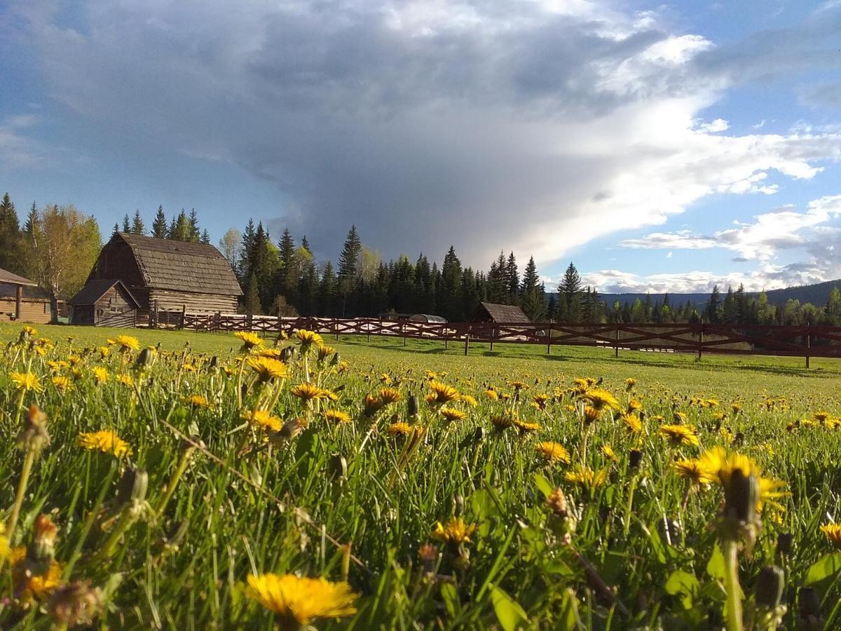 Wells Gray Guest Ranch Hotel Clearwater Ngoại thất bức ảnh